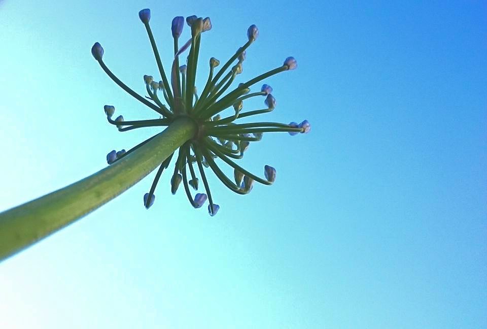 Но и по по моите стени, ако е&nbsp;възможно