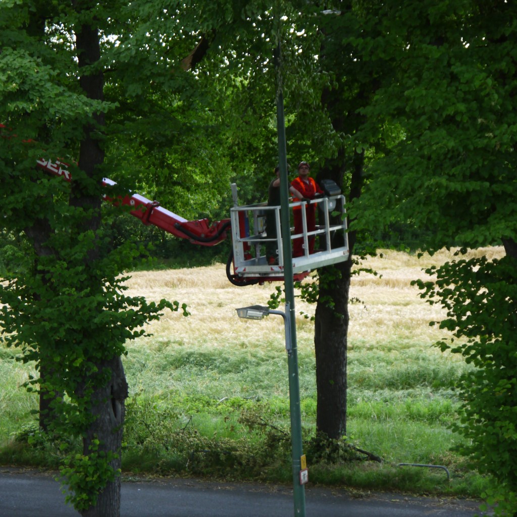Както си измислях разговор с Мали&nbsp;Алим