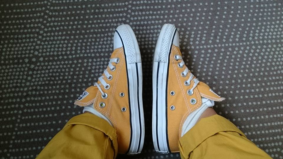 13912392_909049785884068_3693196978809537914_n