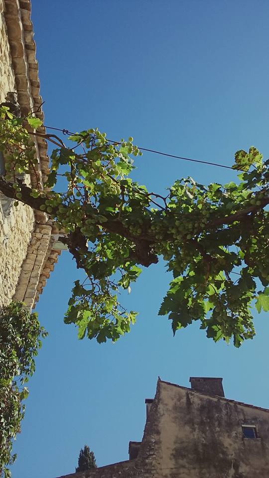 13932865_908331362622577_2021409088976636035_n