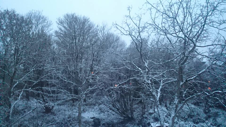 15826567_1040819059373806_4593756200177025354_n