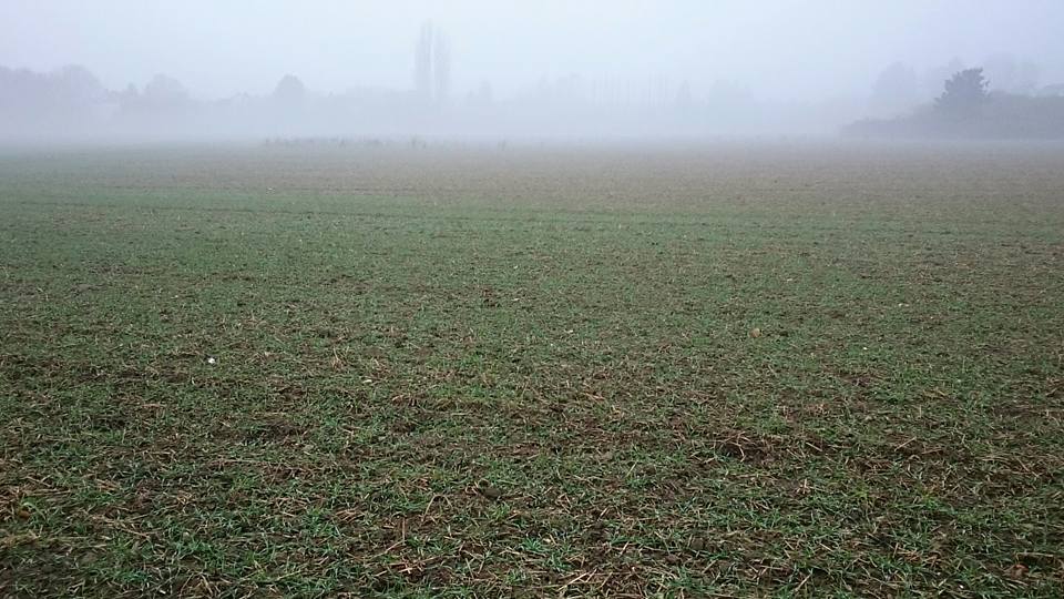 15871502_1045991758856536_1227655178516347638_n