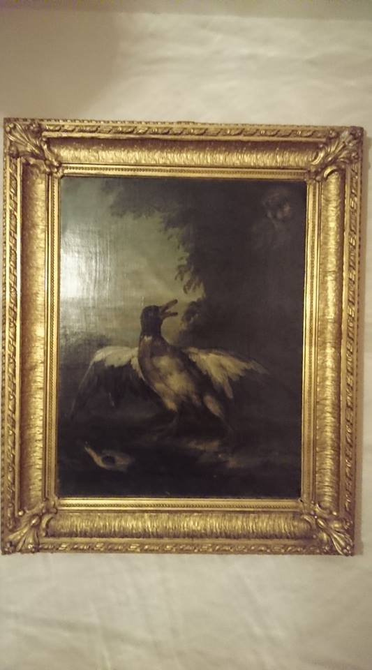 17884512_1142207599234951_3544361732393033734_n