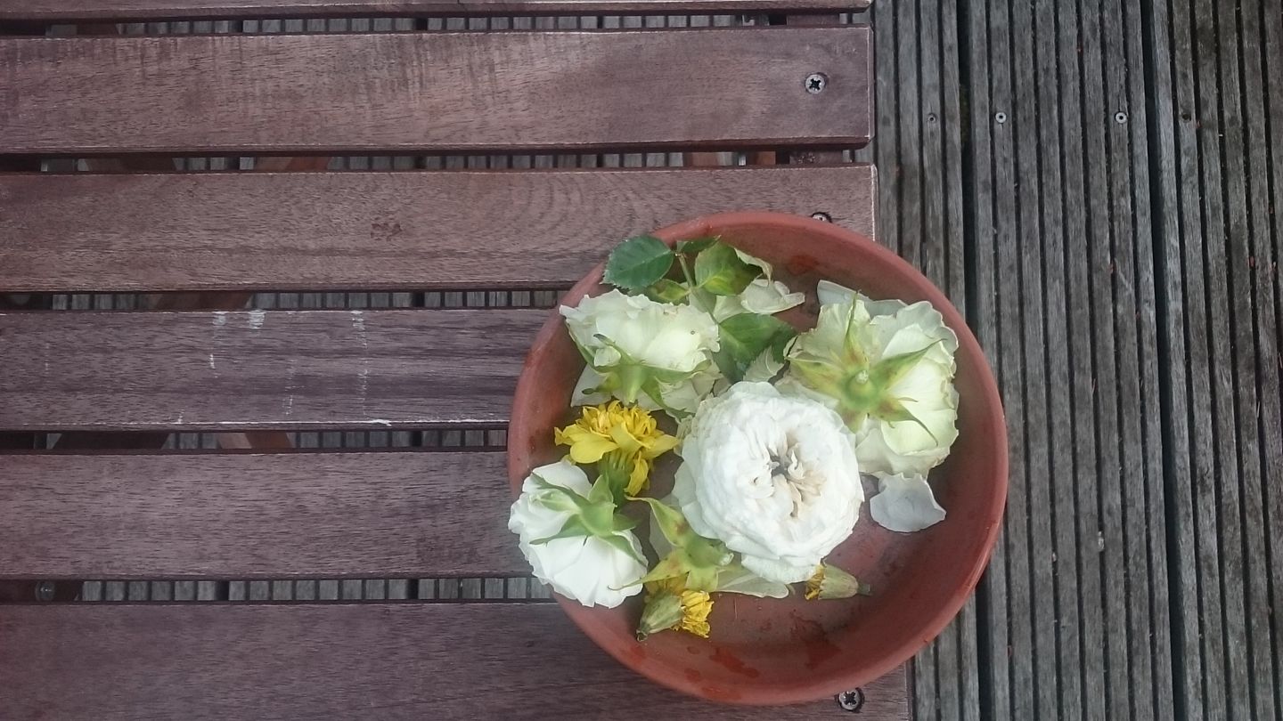 18768577_1180613475394363_2676075784734397952_o