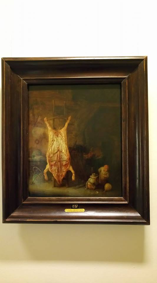 26169728_1371726086283100_8589175924872464444_n