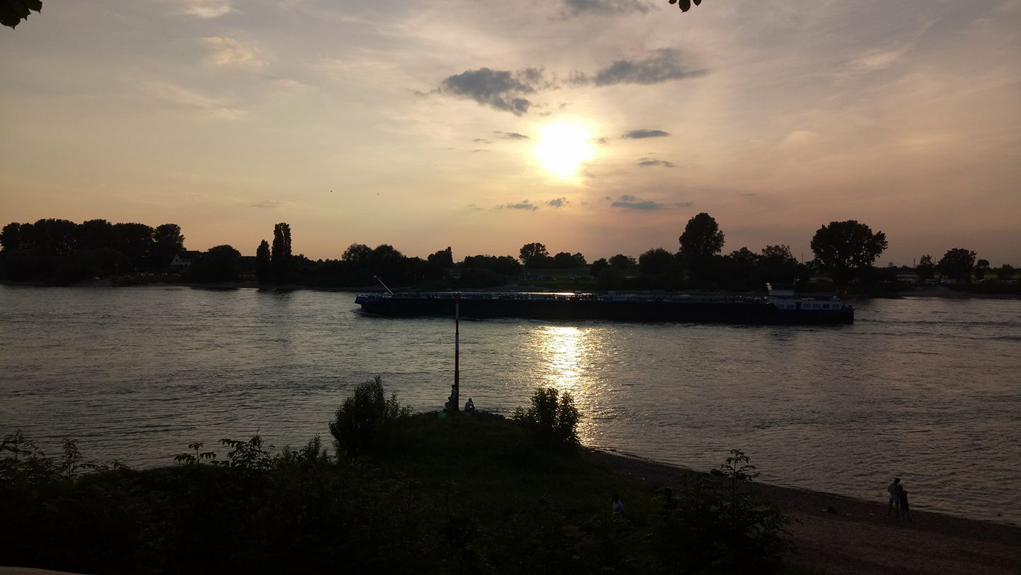 33651446_1504209066368134_738566089503408128_o