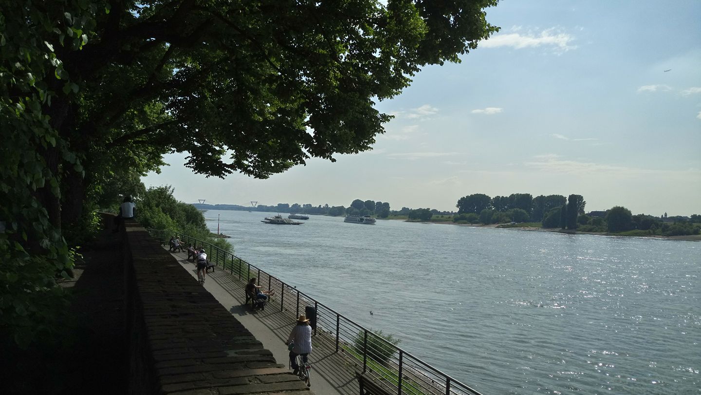 34033968_1508757135913327_8370916750534901760_o