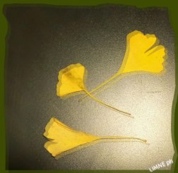 23622069_1325830460872663_5791130931588826590_n