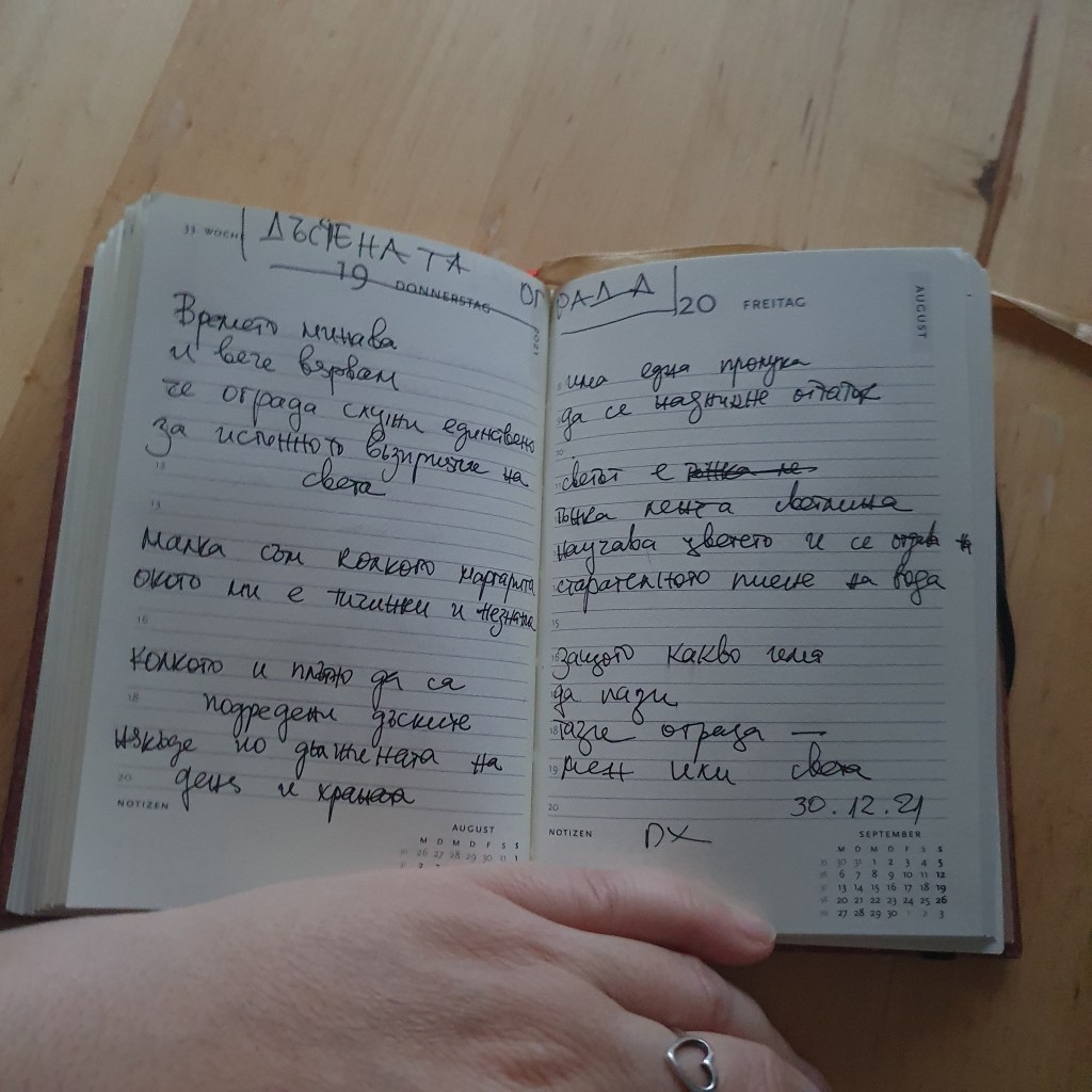 ДЪСЧЕНАТА ОГРАДА