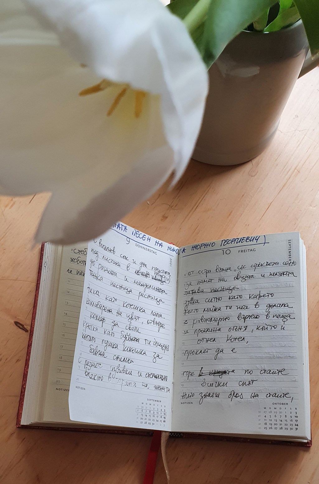 ЛЮЛЧИНАТА ПЕСЕН НА НИКОЛА ЖОРЖО&nbsp;ГЕОРГИЕВИЧ