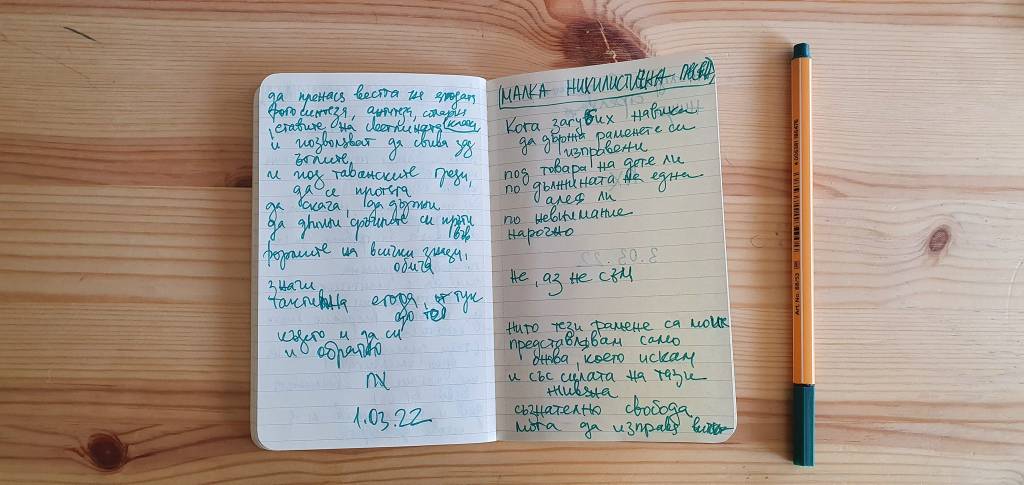 МАЛКА НИХИЛИСТИЧНА ПЕСЕН